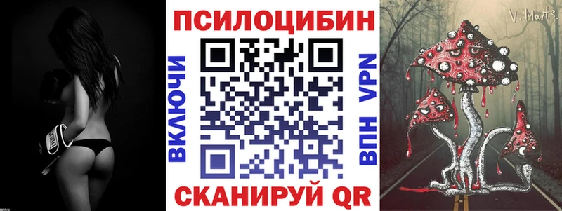 Галлюциногенные грибы GOLDEN TEACHER  МЕГА сайт  Подпорожье  где купить наркоту 